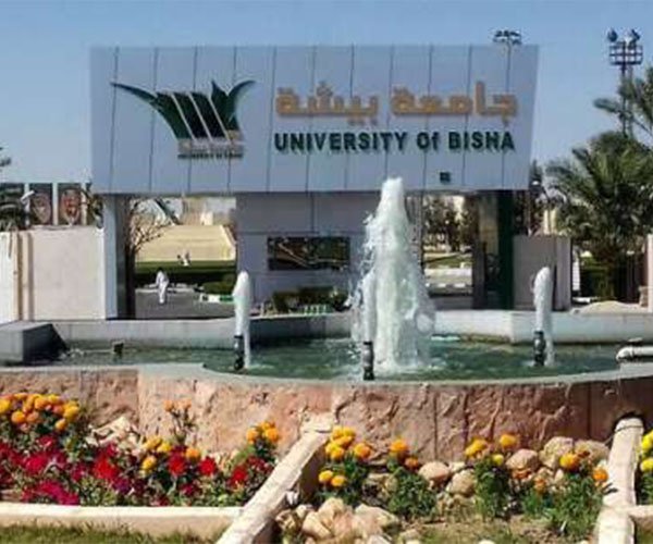 Bisha university