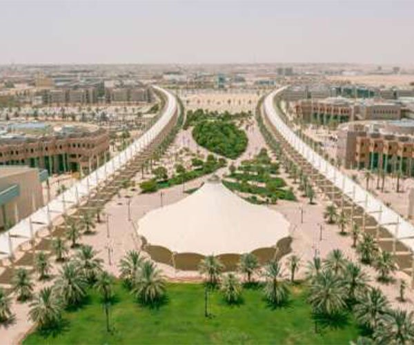 Prince Sattam bin Abdulaziz University