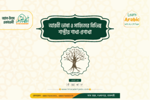 আরবী ভাষা ও সাহিত্যের বিভিন্ন শাখা-প্রশাখা
